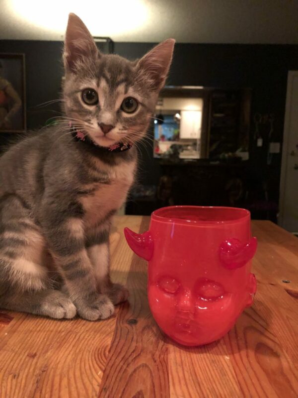 Lil' Diavolo - Image 6