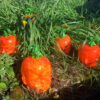 Pumpkin Head - Image 7