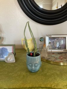 Blue Baby Head Cup with a cactus growing in it