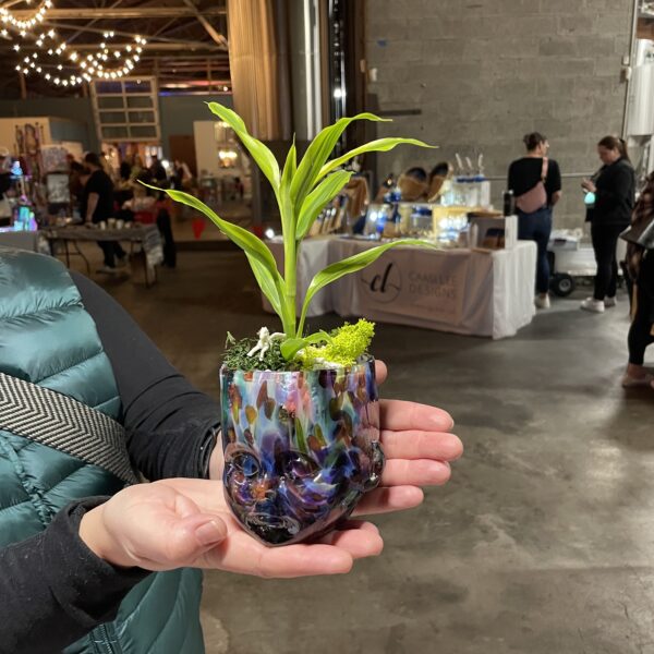 Plant inside of a Baby Head Cup