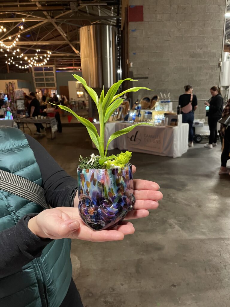 Plant inside of a Baby Head Cup