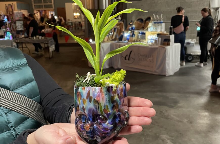 Plant inside of a Baby Head Cup